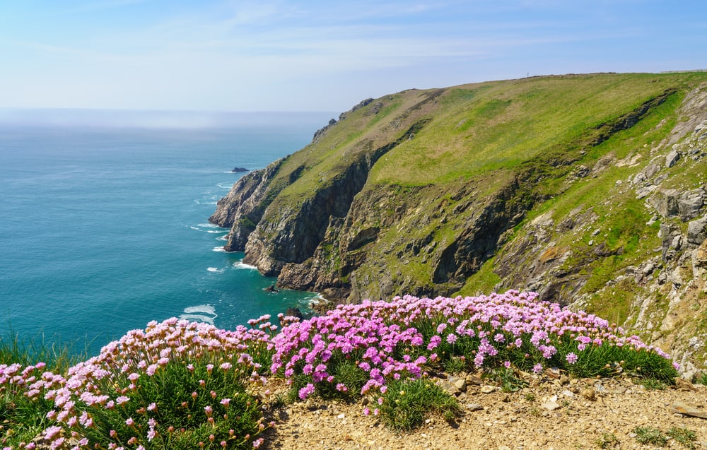cliffs of Lundy Island off the coast of Devon