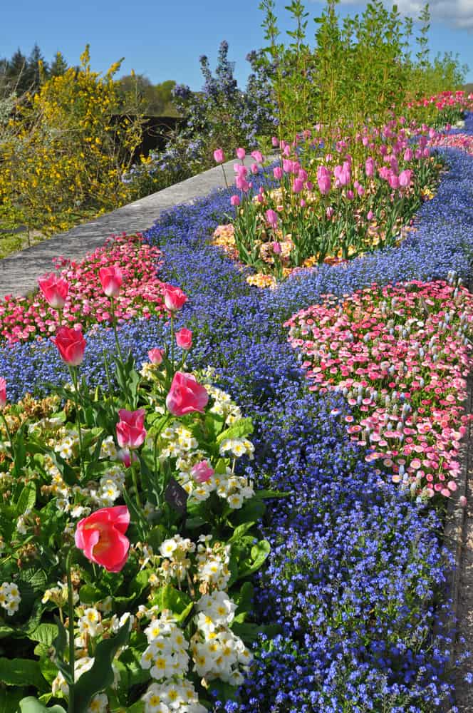 Colourful flowerbed in an English style garden