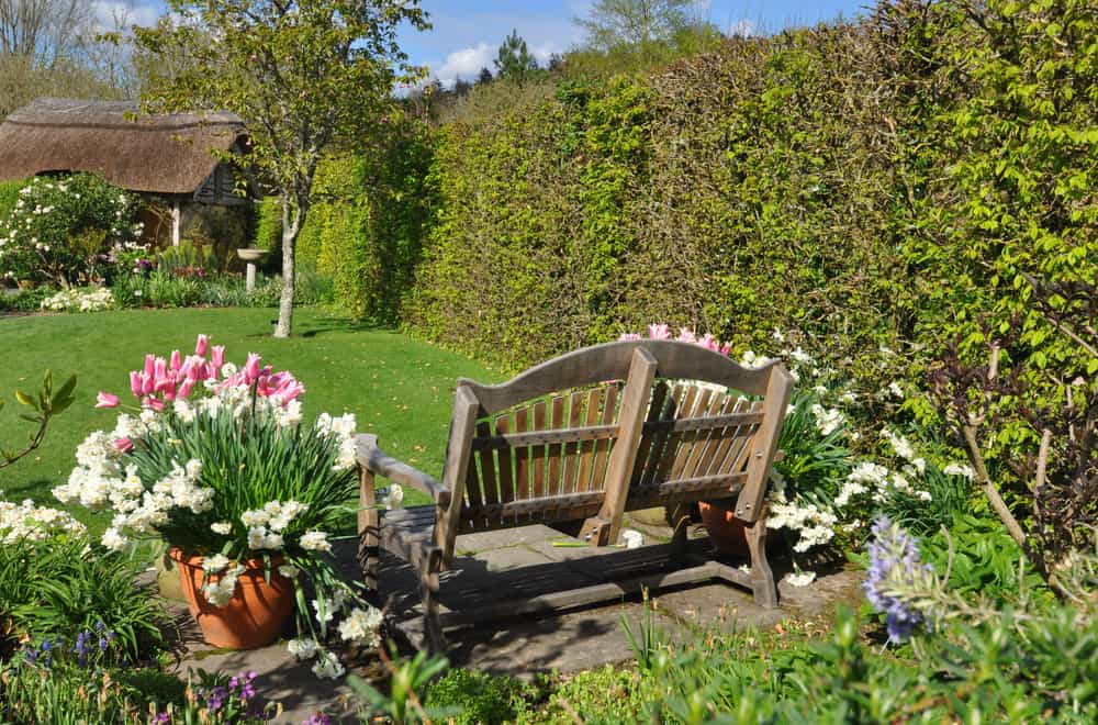 RHS Rosemoor Garden